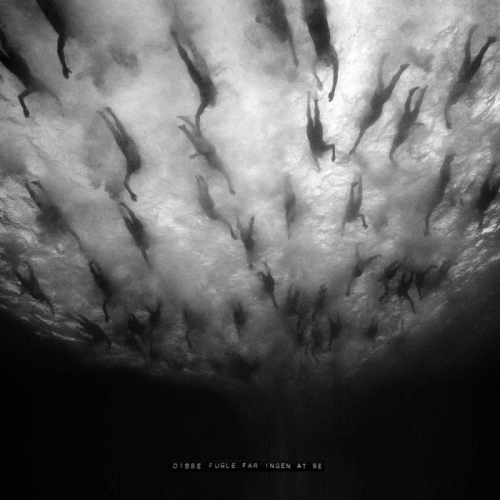 Morild : Disse Fugle får Ingen at Se